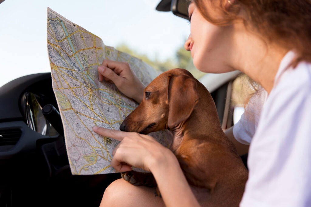 Pet GPS Tracker