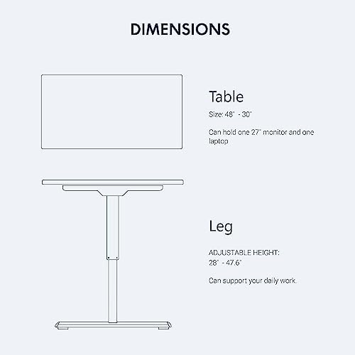 FLEXISPOT Electric Standing Desk