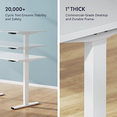 FLEXISPOT Electric Standing Desk