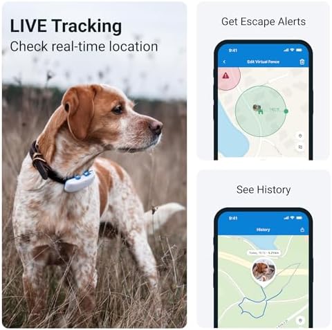 pet GPS tracker