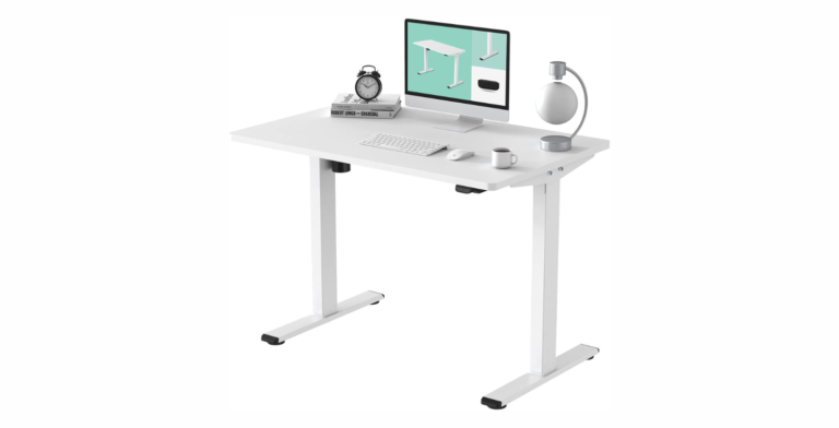 FLEXISPOT Electric Standing Desk