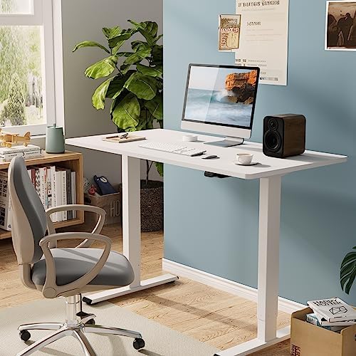 FLEXISPOT Electric Standing Desk