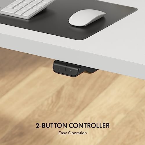 FLEXISPOT Electric Standing Desk