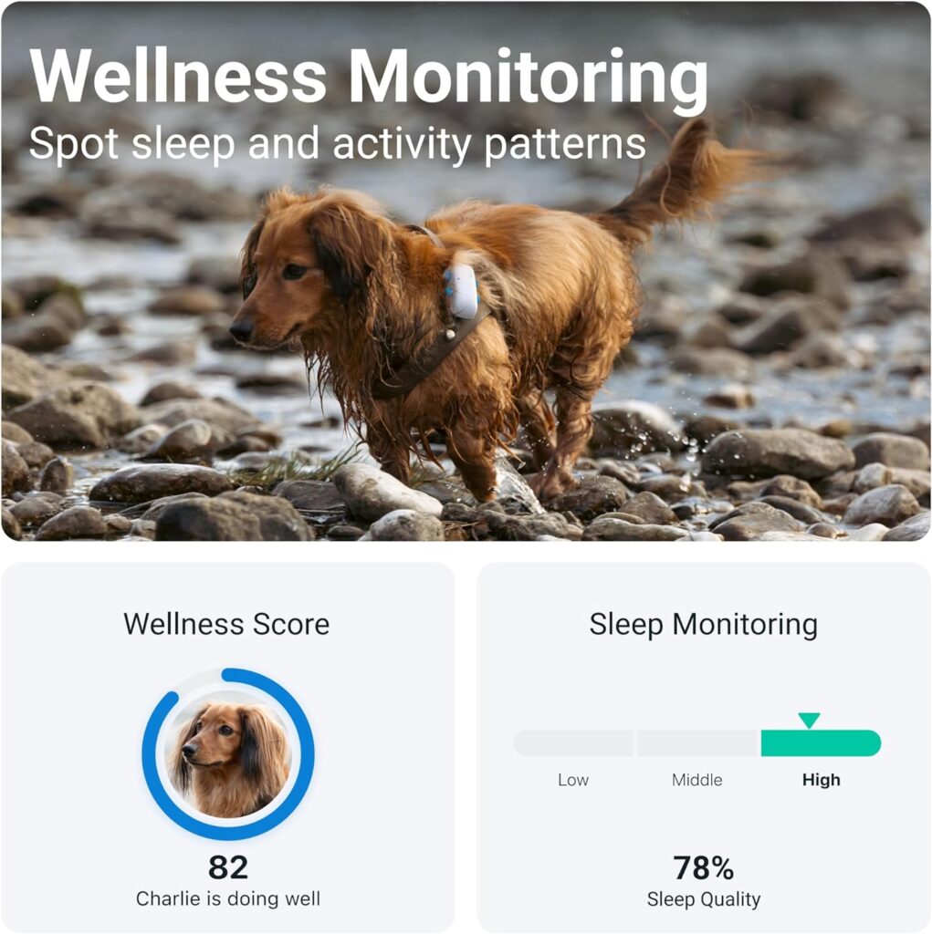 Tractive GPS Pet Tracker Review - wellness monitoring