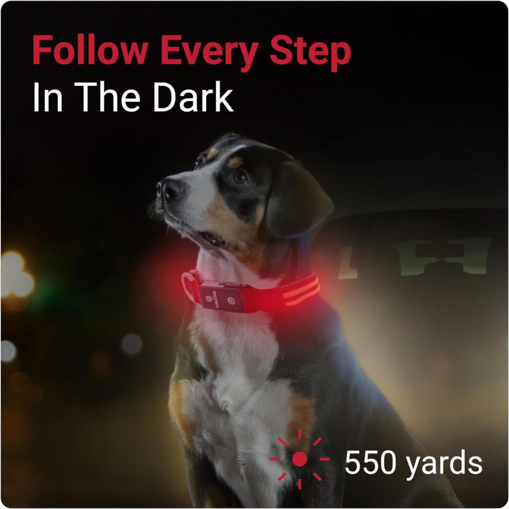 Tractive GPS Pet Tracker - Enhanced Visibility and Nighttime Safety