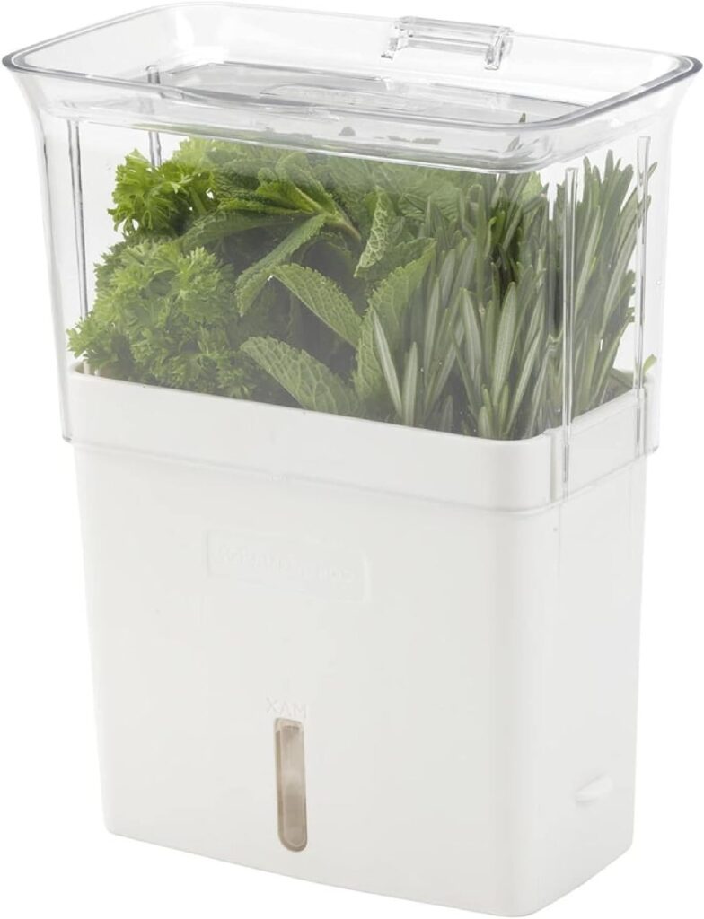 A clear rectangular Cole & Mason herb keeper with a white base and a transparent lid, filled with fresh herbs like parsley, mint, and rosemary. The base has a water reservoir to keep the herbs hydrated