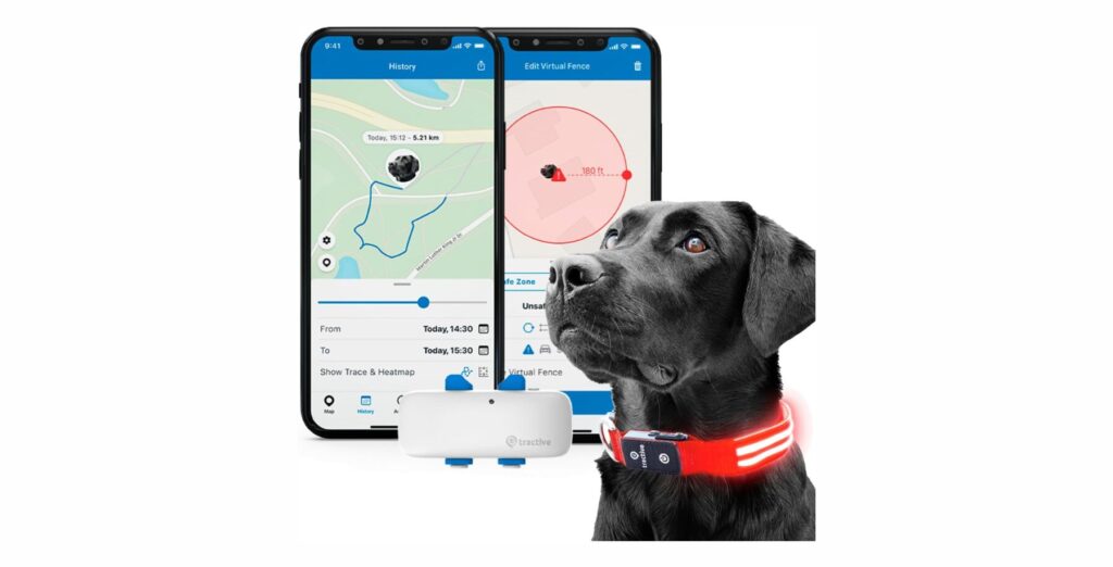 Tractive GPS Pet Tracker Review