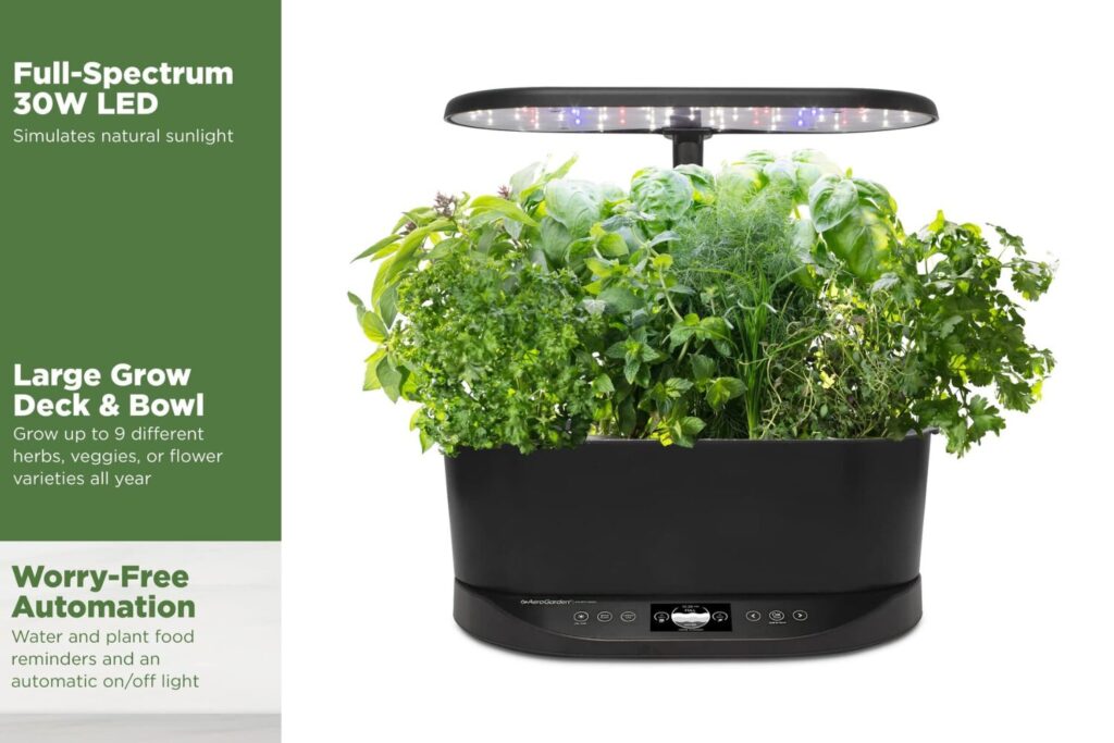 A black countertop AeroGarden with a clear dome and grow light sits on a light wood table. Six green pods with various herbs including Genovese basil, curly parsley, dill, mint, cilantro, and thyme are growing inside the dome